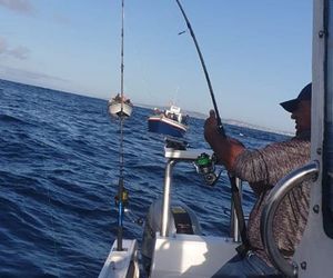 Successful Catches - 12 January 2020