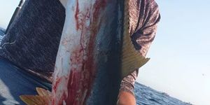 82732558_3023040604396082_8520792370222989312_o_1578895101