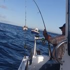 Worcester Men - Cape Agulhas Charters and Accommodation Worcester Men - Cape Agulhas Charters and Accommodation