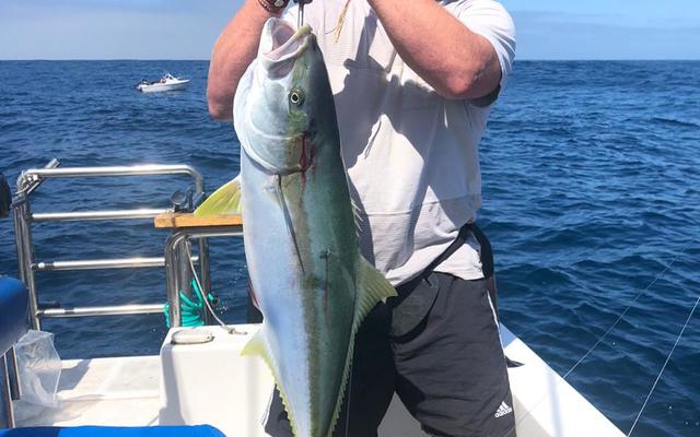 WhatsApp_Image_2020_01_11_at_18.24.26_1578906632