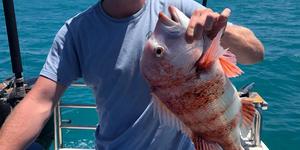 WhatsApp_Image_2020_01_11_at_18.24.30_1_1578906634