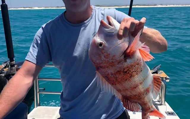 WhatsApp_Image_2020_01_11_at_18.24.30_1_1578906634