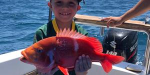 WhatsApp_Image_2020_01_11_at_18.24.31_1578906635