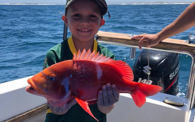 WhatsApp_Image_2020_01_11_at_18.24.31_1578906635