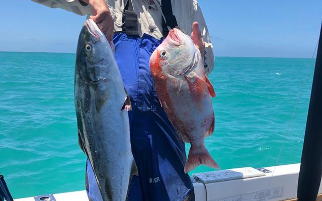 WhatsApp_Image_2020_01_11_at_18.24.32_1578906635