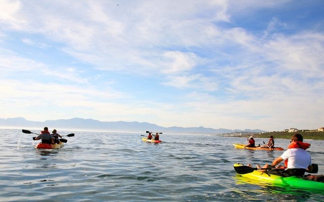 Fun for the whole family - Kayaking