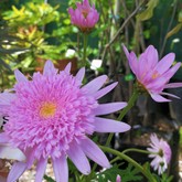 Nursery - Groeneweide Restaurant - Gansbaai