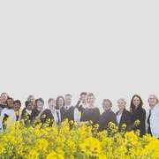 Aandag: Alle Trustees - Vervanging van Trustakte