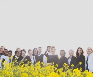 Aandag: Alle Trustees - Vervanging van Trustakte