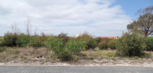 875mÂ² Vacant Land For Sale In Franskraal