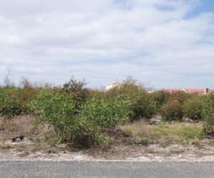 875mÂ² Vacant Land For Sale In Franskraal
