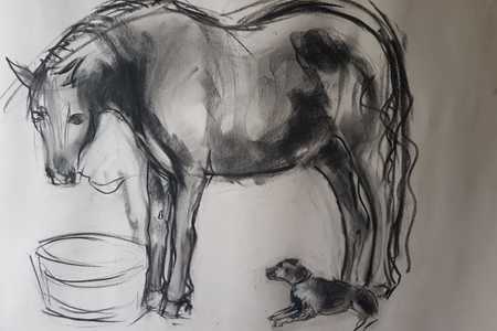 WhatsApp_Image_2020_01_19_at_17.05.24_1_1579518580