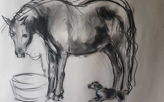 WhatsApp_Image_2020_01_19_at_17.05.24_1_1579518580