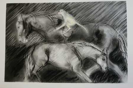 WhatsApp_Image_2020_01_19_at_17.13.05_1_1579518581