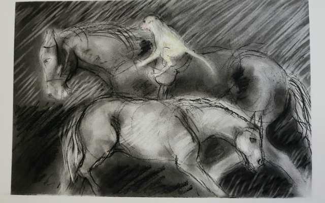 WhatsApp_Image_2020_01_19_at_17.13.05_1_1579518581