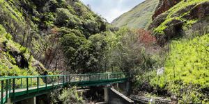 bettys_bay_things_to_do_harold_porter_botanical_garden_bridge_1572354930_2_1579757394