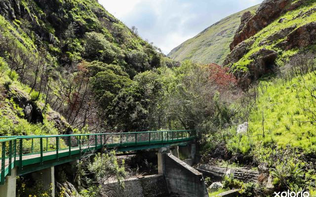 bettys_bay_things_to_do_harold_porter_botanical_garden_bridge_1572354930_2_1579757394