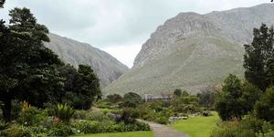 bettys_bay_things_to_do_harold_porter_botanical_garden_foot_path_mountain_1572352677_1579757394