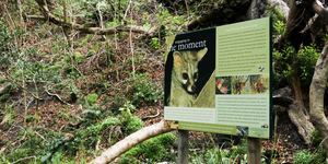 bettys_bay_things_to_do_harold_porter_botanical_garden_information_sign_1572353421_1579757395