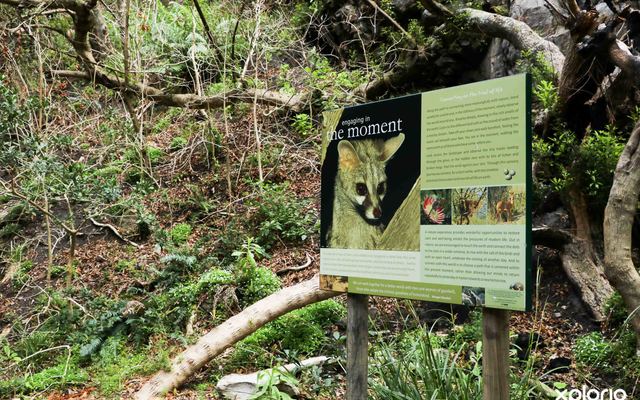 bettys_bay_things_to_do_harold_porter_botanical_garden_information_sign_1572353421_1579757395