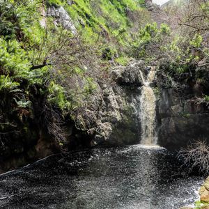 bettys_bay_things_to_do_harold_porter_botanical_garden_waterfall_1572353061_1_1579757393