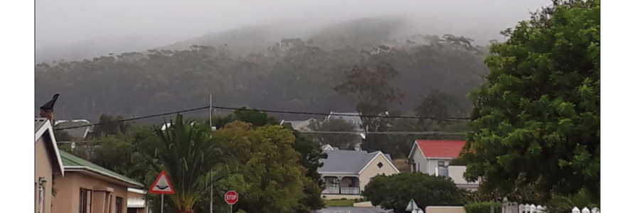 Suidernuus_24_Januarie_2020_Front_Page_1_1579759887