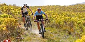 50303897_392080991526197_2950381952391184384_o_1579761188