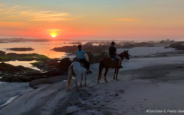Gansbaai & Pearly Beach Horse Trails