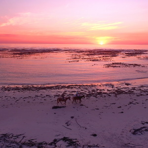 Gansbaai & Pearly Beach Horse Trails
