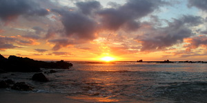 Gansbaai & Pearly Beach Horse Trails