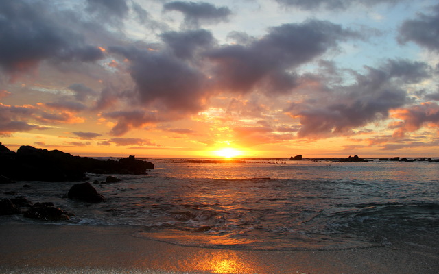 Gansbaai & Pearly Beach Horse Trails