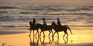 Gansbaai & Pearly Beach Horse Trails