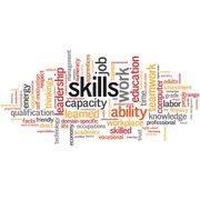 Skills Development Levy