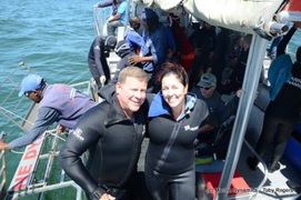 Daily Blog 28 January 2020 | Shark Cage Diving in South Africa