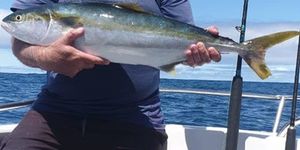 83167359_3043475529019256_1991241258986635264_o_1580366514