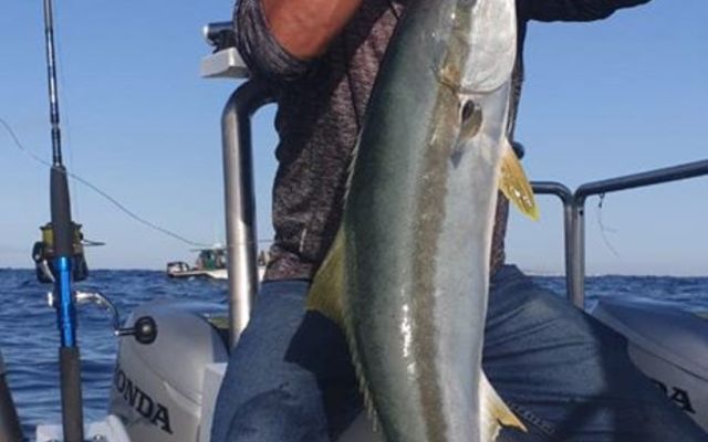 83194757_3043475279019281_6142298928340533248_o_1580366513