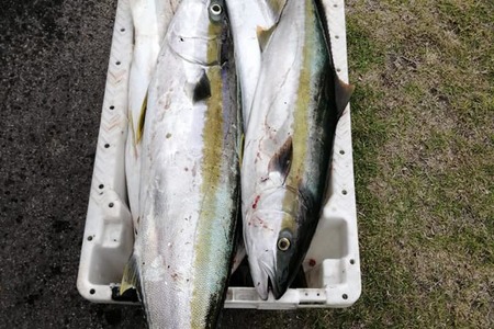 83134272_3064319933601482_6019284674071756800_n_1580479476