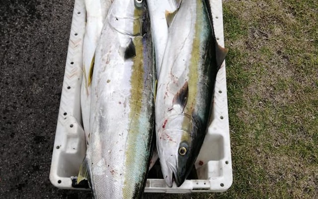 83134272_3064319933601482_6019284674071756800_n_1580479476