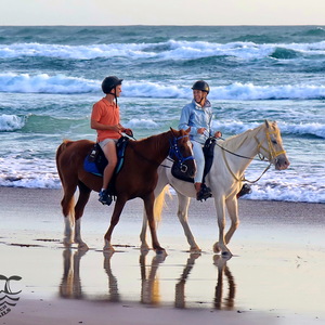 Gansbaai & Pearly Beach Horse Trails
