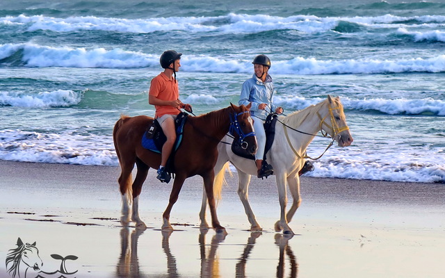 Gansbaai & Pearly Beach Horse Trails