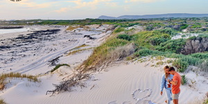 Gansbaai & Pearly Beach Horse Trails
