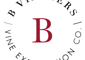 What's happening at Wine and Co. 7 February 2020