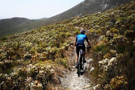 WhatsApp_Image_2019_12_05_at_10.32.01_2__1580999666