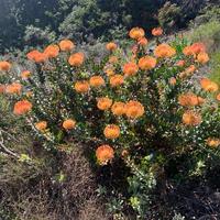 Stanford - Beloftebos Trails and Adventures 