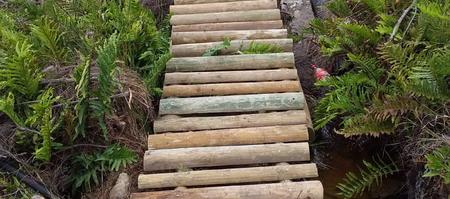 WhatsApp_Image_2019_12_11_at_06.18.47_2__1580999768