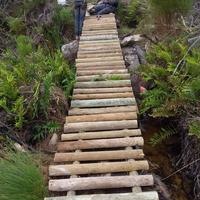 Stanford - Beloftebos Trails and Adventures 