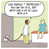 Dog Humor - BARC Animal Welfare - Gansbaai