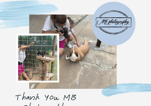 Stunning New Photos of our Animals - MB Photography