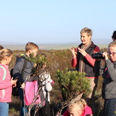 Bredasdorp - Nuwejaars Wetlands Special Management Area - Guided Wildlife Tours