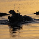 Guided Tour - Nuwejaars Wetlands Special Management Area - Xplorioâ„¢ Bredasdorp